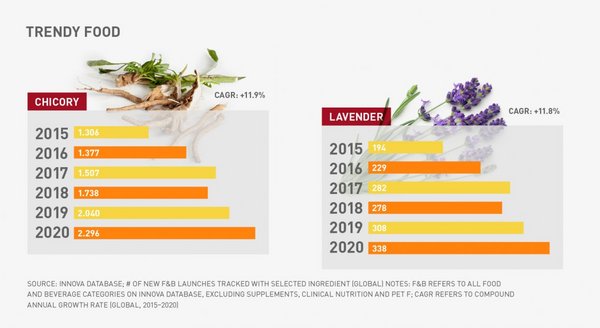 Grafik zu den Trendfood Lavendel und Chicoree 