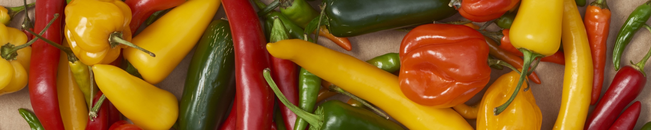 Paprika und Chili Sorten 